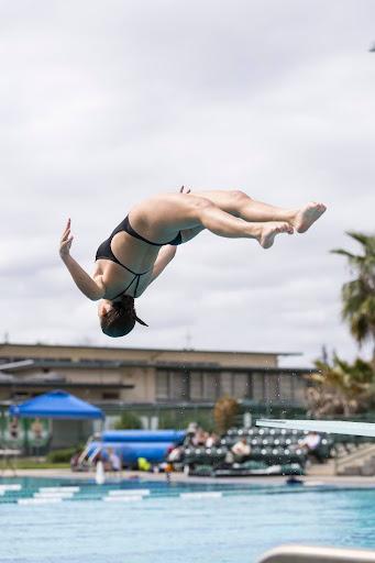 Diving. St. Francis Catholic High School Sacramento, CA